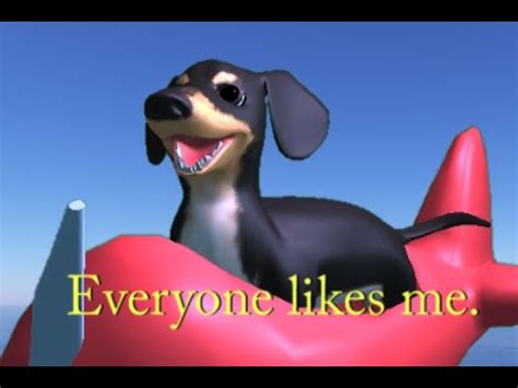 dog in plane meme|weenie dog in plane animation.